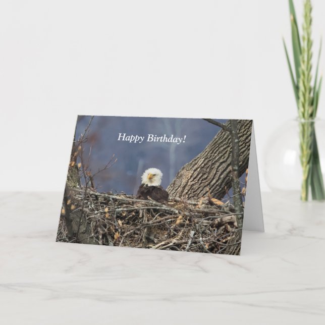 Bald Eagle having a bad hair day Card (Front)