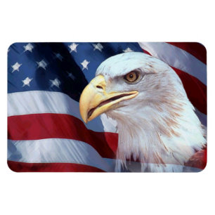 bald Eagle head American flag Fourth of July Magnet