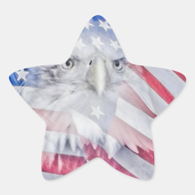 Bald Eagle Head & the American Flag Star Sticker (Front)