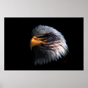Bald Eagle head with a American flag on his face Poster