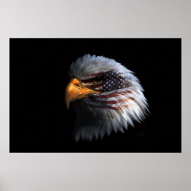 Bald Eagle head with a American flag on his face Poster (Front)