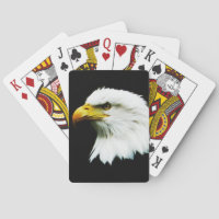 Bald Eagle Headshot Photo
