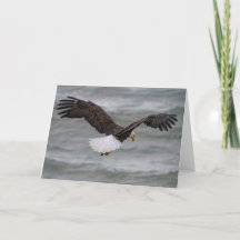 Bald Eagle Hunting  Thank You Card