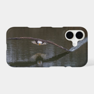 Bald Eagle in Flight