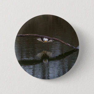 Bald Eagle in Flight 6 Cm Round Badge
