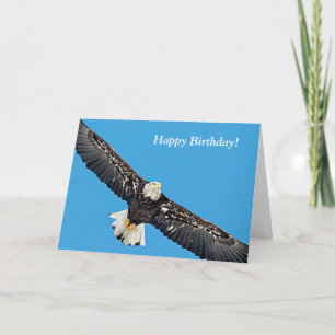 Bald Eagle in flight Card
