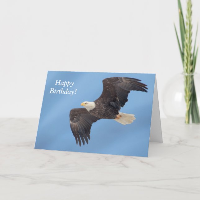 Bald Eagle in flight Card (Front)
