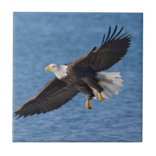 Bald eagle in flight ceramic tile