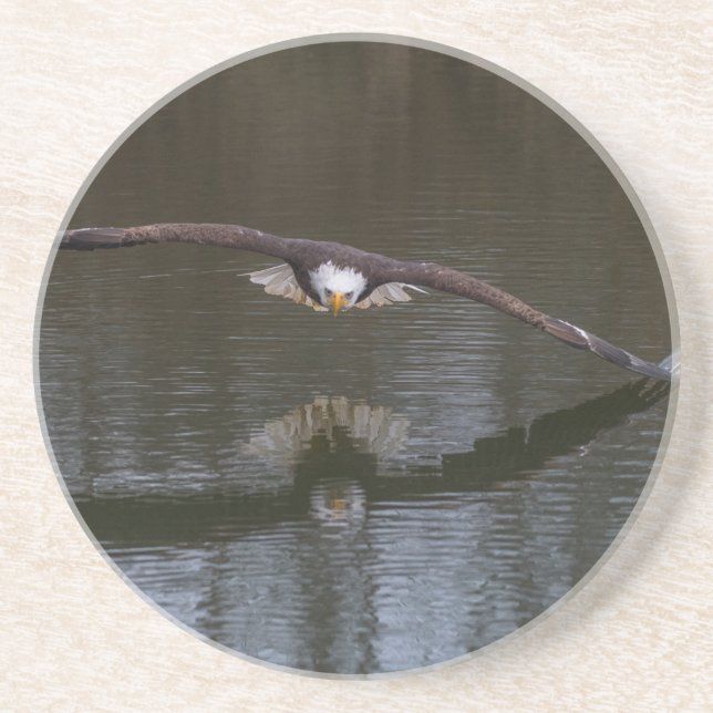 Bald Eagle in Flight Coaster (Front)