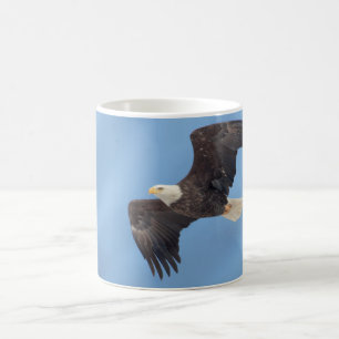 Bald Eagle in flight Coffee Mug