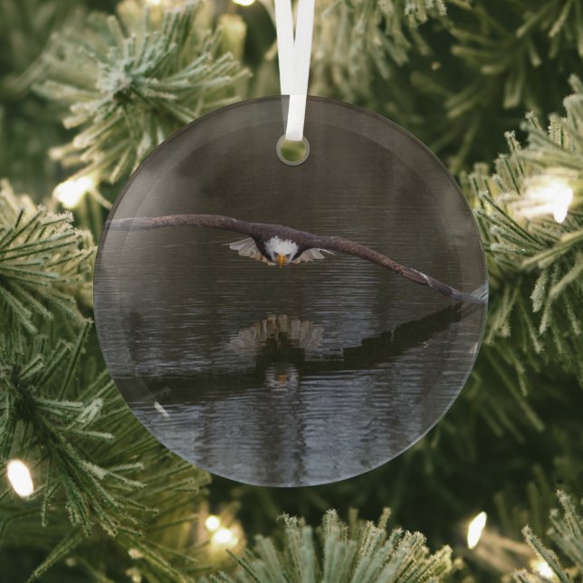 Bald Eagle in Flight Glass Tree Decoration (Insitu)