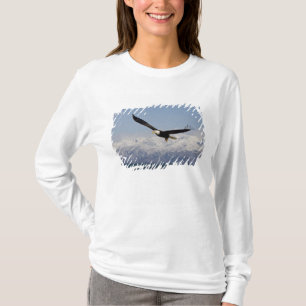 Bald Eagle in Flight, Haliaeetus leucocephalus, 3 T-Shirt