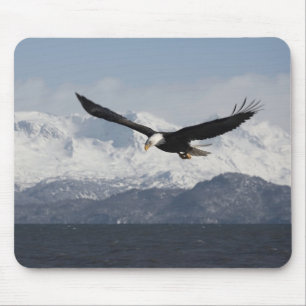 Bald Eagle in Flight, Haliaeetus leucocephalus, Mouse Pad