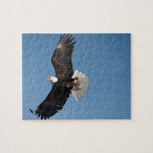 Bald Eagle in Flight Jigsaw Puzzle