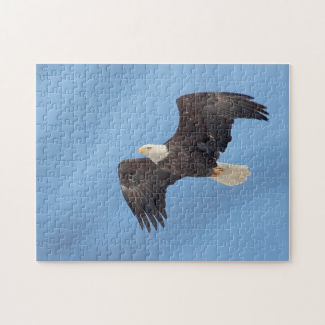 Bald Eagle in flight Jigsaw Puzzle (Horizontal)