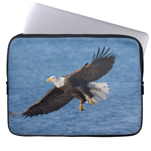 Bald eagle in flight laptop sleeve (Front)