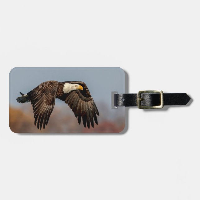 Bald Eagle in flight Luggage Tag (Front Horizontal)