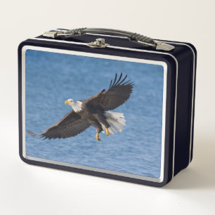 Bald eagle in flight metal lunch box
