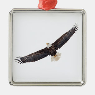 Bald Eagle in flight Metal Ornament