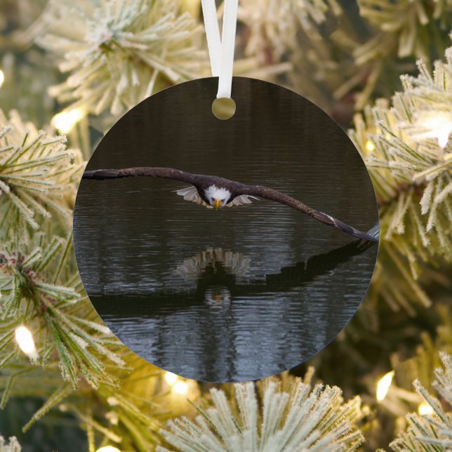Bald Eagle in Flight Metal Tree Decoration (Insitu)