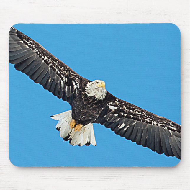 Bald Eagle in flight Mouse Pad (Front)