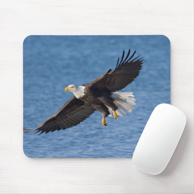 Bald eagle in flight mouse pad (With Mouse)