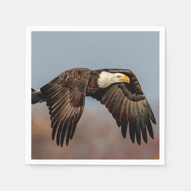 Bald Eagle in flight Napkin (Front)