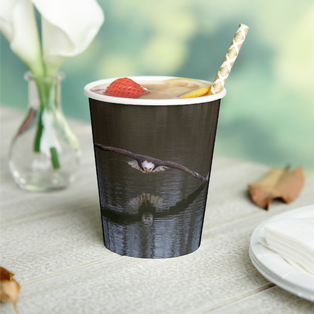 Bald Eagle in Flight Paper Cups (Insitu)
