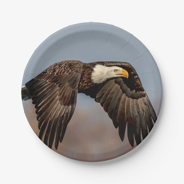 Bald Eagle in flight Paper Plate (Front)