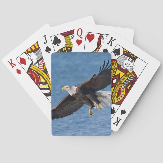 Bald eagle in flight playing cards (Back)
