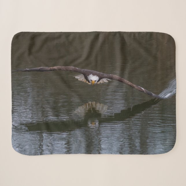 Bald Eagle in Flight Sherpa Blanket (Front (Horizontal))