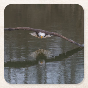 Bald Eagle in Flight Square Paper Coaster