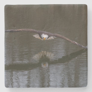 Bald Eagle in Flight Stone Coaster