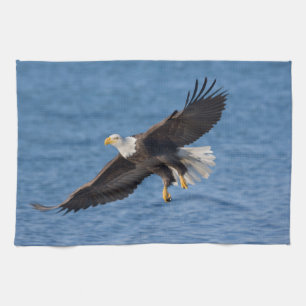 Bald eagle in flight tea towel