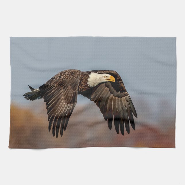 Bald Eagle in flight Tea Towel (Horizontal)