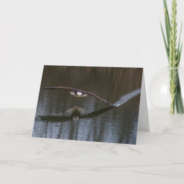 Bald Eagle in Flight Thank You Card (Front)