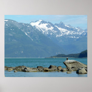 Bald Eagle in Skagway Alaska Poster
