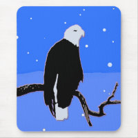 Bald Eagle in Winter - Original Wildlife Art