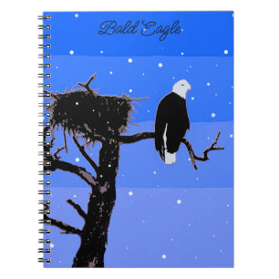 Bald Eagle in Winter - Original Wildlife Art Notebook
