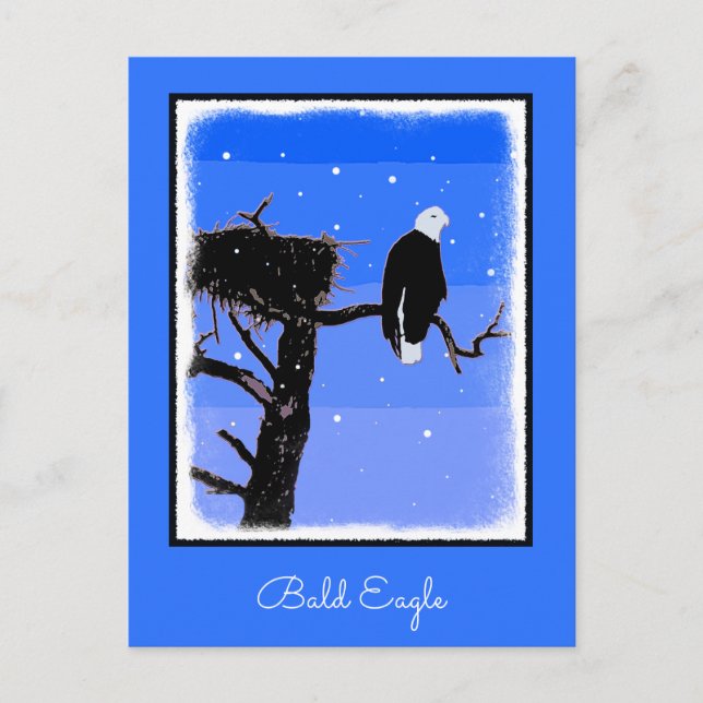 Bald Eagle in Winter  - Original Wildlife Art Postcard (Front)