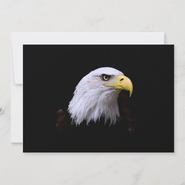 Bald Eagle Invitation (Front)