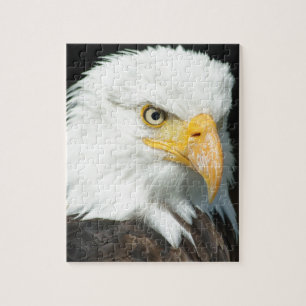 Bald Eagle Jigsaw Puzzle