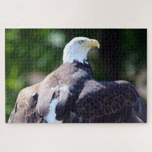 Bald Eagle Jigsaw Puzzle