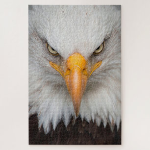 Bald Eagle Jigsaw Puzzle