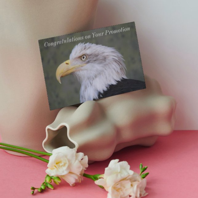 Bald Eagle Job Promotion Congratulations Card (In Situ)