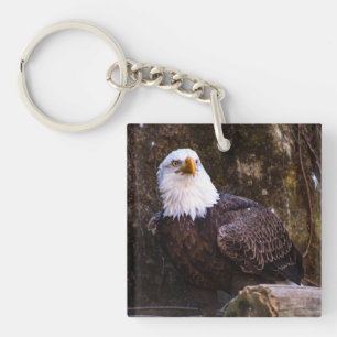 Bald Eagle  Key Ring