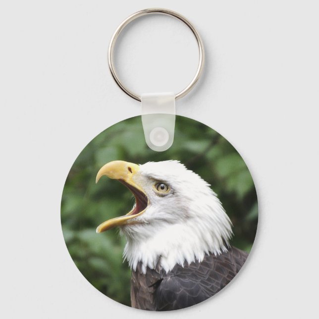 Bald eagle key ring (Front)