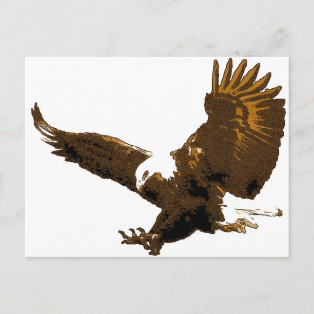 Bald Eagle Landing Postcard (Front)