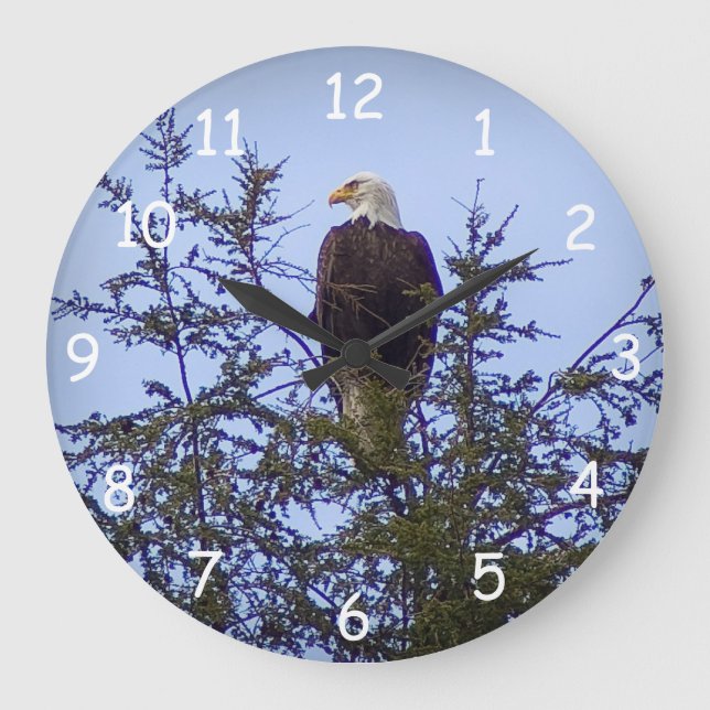 Bald Eagle Large Clock (Front)