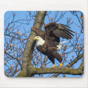 Bald Eagle Leap Mouse Pad